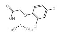 {$productinfo->name}
