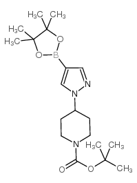 C4X-10252
