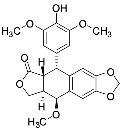 C4X-202410