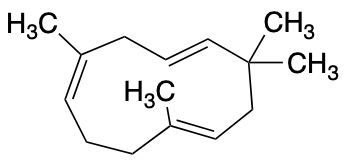 C4X-19892