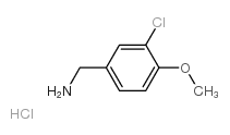 {$productinfo->name}