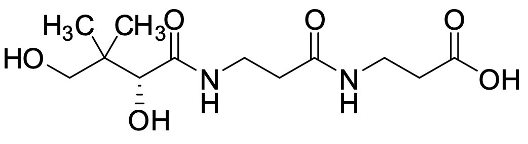 {$productinfo->name}