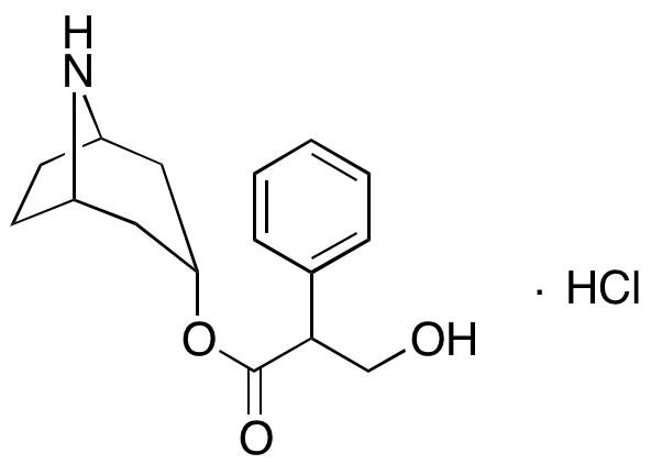 {$productinfo->name}
