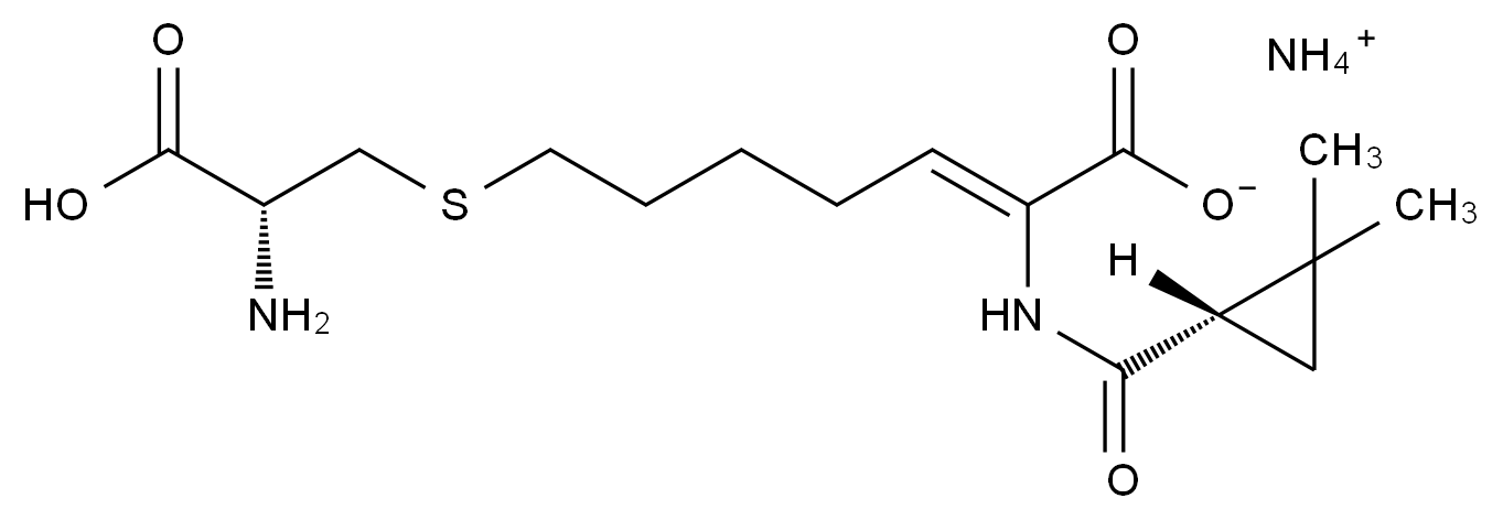 C4X-19608