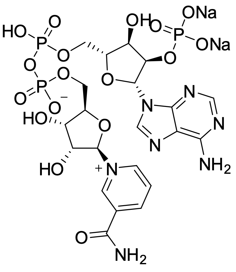 [24292-60-2] β-烟酰胺腺嘌呤二核苷酸磷酸二钠盐