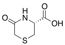 {$productinfo->name}