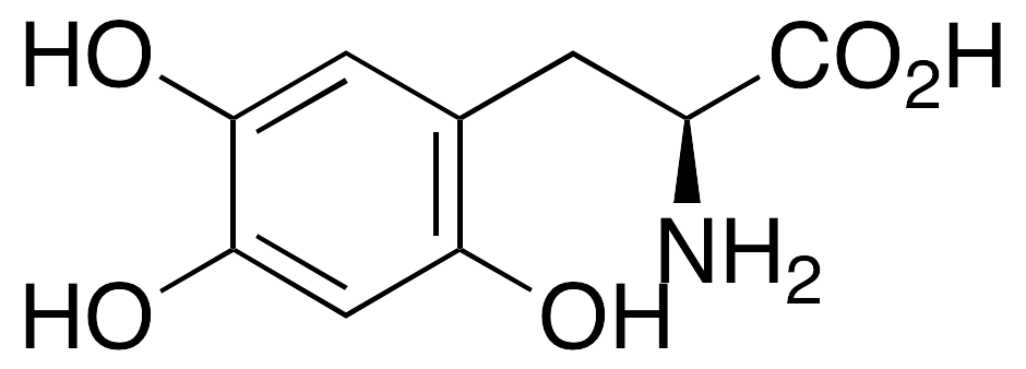 {$productinfo->name}