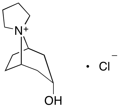 {$productinfo->name}