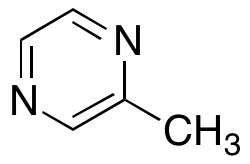 {$productinfo->name}