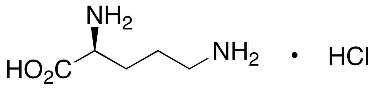 {$productinfo->name}