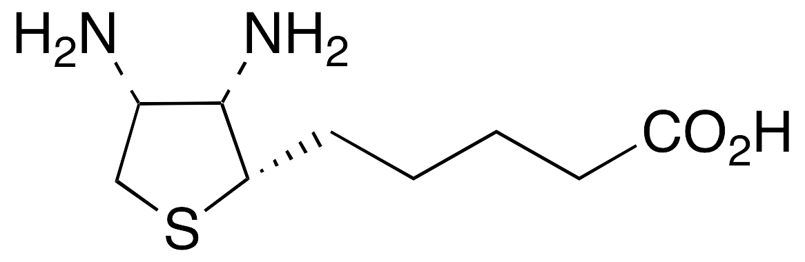 {$productinfo->name}