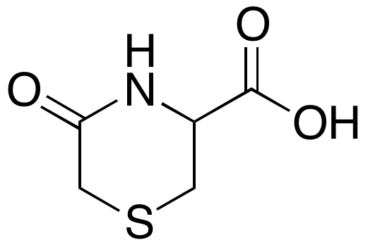 C4X-201019