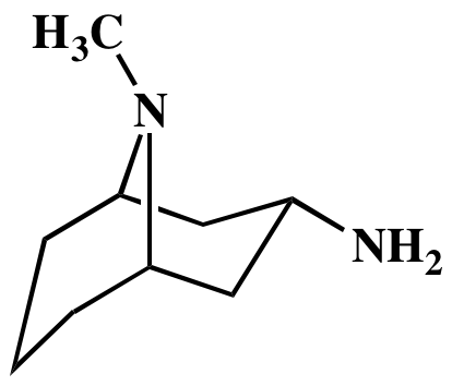{$productinfo->name}