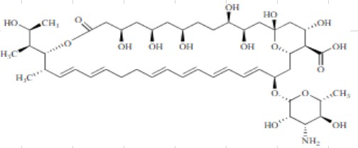 ISO-制霉菌素