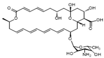 4, 5-去环氧化纳他霉素