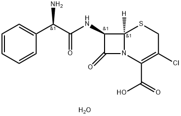 70356-03-5_头孢克洛(一水物)