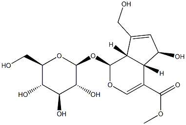 {$productinfo->name}