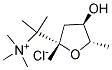 {$productinfo->name}