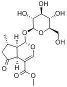 548-37-8_马鞭草苷