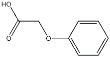 {$productinfo->name}