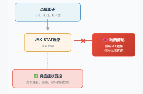 1763353306145478.png 图片.