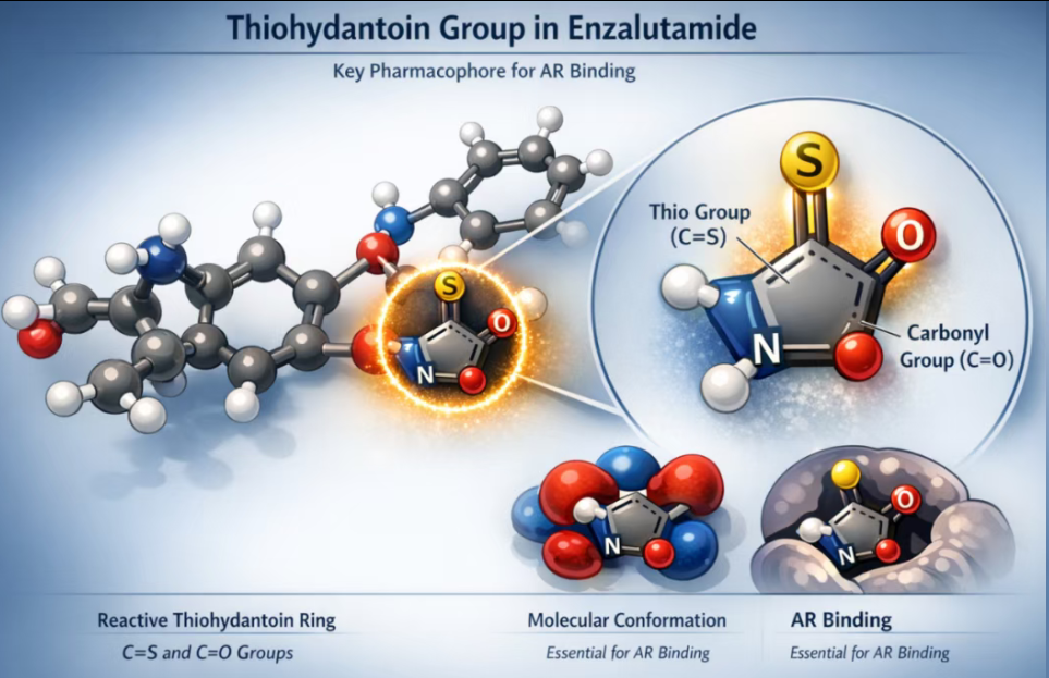 mCRPC重磅药恩扎卢胺(Enzalutamide)的杂质谱分析与方法验证关键点